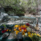 Oshun River Ceremony